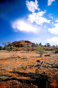 OB152 Mutawintji National Park NSW